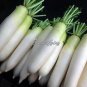 Fresh Sweet White Radish Seeds Non Gmo Vegetables