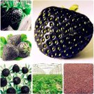 Fresh Rare Black Strawberry Seeds