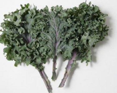 Fresh Kale Russian Red Vegetables Seeds