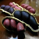 Fresh Red Peanut Planting Seed Organic Rare Heirloom Plants Seeds