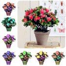 Fresh Rainbow Azalea Seed Rhododendron Azalea Iggy