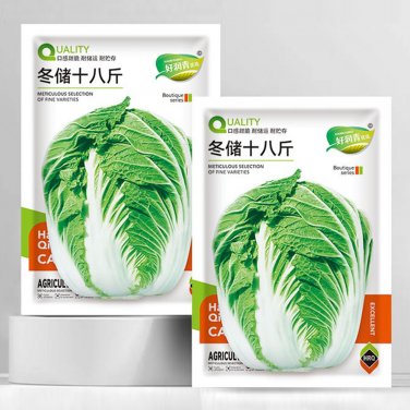 Fresh Dongchu 18 Jin Autumn Cabbage Seeds Winter Sauerkraut Cabbage Hearted Cabbage