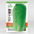 Fresh Shi Bajin Chinese Cabbage Seeds Summer and Fall Vegetables Quality Cabbage Seeds