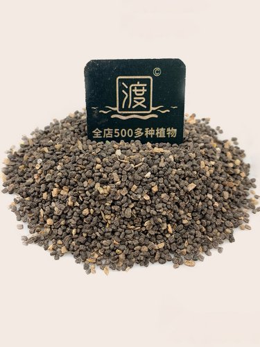 Fresh Asiatic Dayflower Seeds