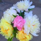 Fresh Peony Seeds Premium Collection for Stunning Blooms Mixed Sanmao Series