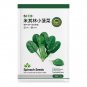Fresh Jingyan® Dwarf Spinach Seeds