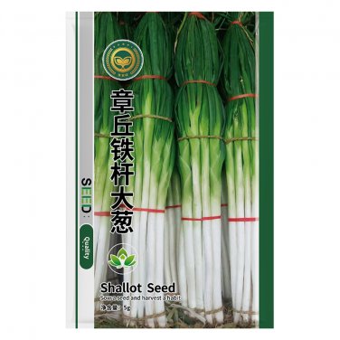 Fresh Jingyan&Acirc;&reg; Asian Bunching Onion Seeds