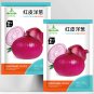 Fresh Premium Red Onion Seeds Purple Skin Variety