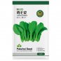 Fresh Pak Choi Seeds