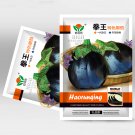Fresh Black Beauty Eggplant Seeds