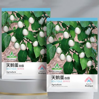 Fresh Cultivate Charm: White Baby Round Eggplant Seeds