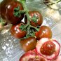 Fresh Cultivate Curiosity: 5 Bags (100 Seeds / Bag) of Daheiren Black Tomatoes