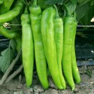 Fresh 5 Bags (200 Seeds / Bag) of Crispy Spicy Lamb Horn Peppers