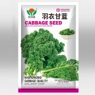 Fresh 5 Bags (100 Seeds / Bag) of Blue Ridge Kale