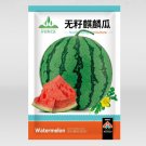 Fresh 5 Bags (50 Seeds / Bag) of Seedless Kylin Series Seedless Watermelon Seeds