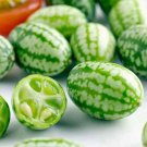 Fresh 5 Bags (50 Seeds / Bag) of Cucamelons Seeds Mexican Sour Gherkins