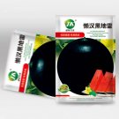 Fresh 5 Bags (25 Seeds / Bag) of Black Landmine Series Watermelon Seeds