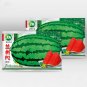 Fresh 5 Bags (25 Seeds Bag) of Lanzhou P2 Series: Large Fruit Super Watermelon