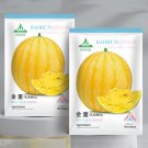 Fresh 5 Bags (20 Seeds / Bag) of Golden Baby Watermelon Seeds