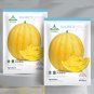 Fresh 5 Bags (20 Seeds / Bag) of Golden Baby Watermelon Seeds