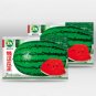 Fresh 5 Bags (30 Seeds / Bag) of Idler King Watermelon Seeds