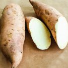 Fresh Sweet Potato Seed Delicious Purple Sweet Potato