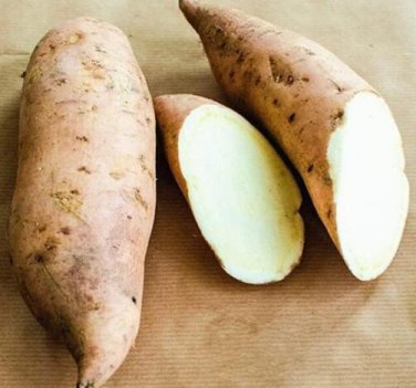 Fresh Sweet Potato Seed Delicious Purple Sweet Potato