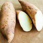 Fresh Sweet Potato Seed Delicious Purple Sweet Potato