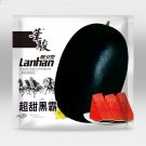 Fresh 2 Bags (10g / Bag) of Black Tyrant Super sweet Watermelon Seeds