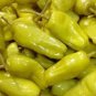 Fresh 100 Seeds Pepperoncini Pepper (Hard to Find) Seeds Non Hybrid Open Pollinated