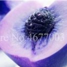 Fresh 2PCS Sweet Peach Seed China Nectarine Peach Outdoor Seed