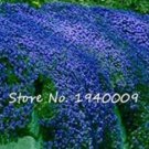 Fresh 200 Pcs Creeping Thyme Flower Rock Cress Ground Cover Mat Lawn (Color: 3) Seeds