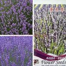 Fresh Real Lavender s Each containing 15 Capsules is in . The Flowers are Purple Seeds