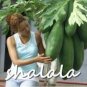 Fresh Super Sweet Big Papaya Fruit Seed Non GMO Potted Seed fruit Tree Seed and