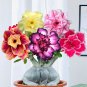 Fresh 10PCS Mixed Colorful Desert Rose Seeds Balcony Adenium Fragrant Flowers