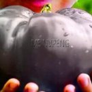 Fresh 100 Giant Tomato Seeds for Tomatoes Fruits and Vegetables