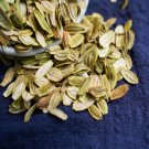 Fresh Ashitaba Standard Angelica Keiskei Koidzumi Certified Seed 5 Seedss