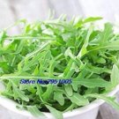 Fresh 100PCS Diplotaxis Tenuifolia Roquette Seeds