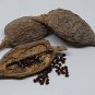 Fresh 30 Seeds Alligator Pepper Wesa Seeds Easy to Seasons Meaningful Gift.