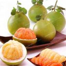 Fresh Thai Pomelo Citrus Maxima Pomelo Grape Fruit Seeds