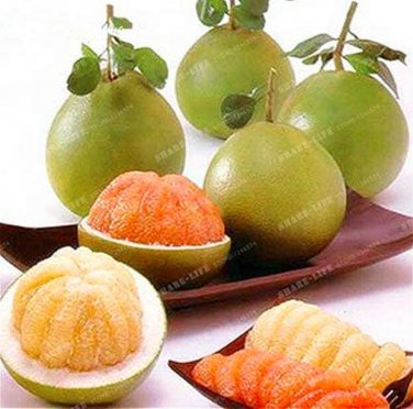 Fresh Thai Pomelo Citrus Maxima Pomelo Grape Fruit Seeds