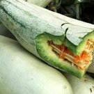 Fresh 20PCS Rare Chinese Sweet Melon Seeds