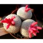 Fresh 10pcs Epithelantha rufispina Seeds Rare Cactus Plants