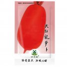 Fresh 800pcs big Radish Seeds | Red White Long Radishes Vegetable Seed
