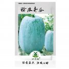 Fresh 100pcs Wax Gourd Seeds White Ash Gourd Winter Melon Dong Gua