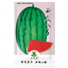 Fresh 25pcs Watermelon Seeds Fruit Watermelon Seeds