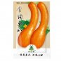 Fresh 40pcs Long pumpkin seeds winter curved necked pumpkin seeds family heirloom