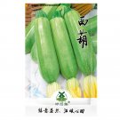Fresh 25pcs Summer Zucchini Squash Seeds | Heirloom Non GMO | Fresh Vegetable Seeds