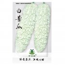 Fresh 20pcs Seeds Momordica White Balsam Pear Vegetables High Quality