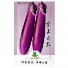 Fresh 700pcs Long Purple Eggplant Seeds | Heirloom | Non GMO | Fresh Garden Seeds